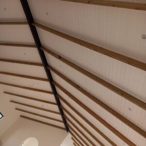 ceiling-pvc-rhinoboard-isoboard-cape-town.jpg